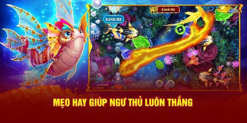 Mẹo hay giúp ngư thủ luôn thắng