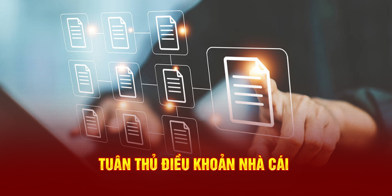 Tuân thủ điều khoản nhà cái